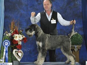 Silbertraum Fire & Ice at 18 mths