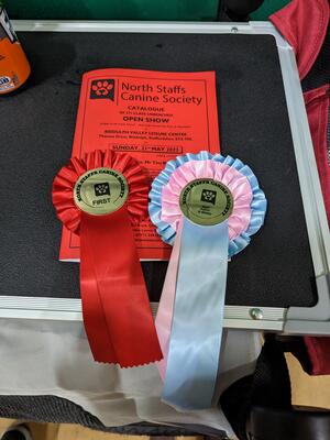1st puppy & Best Puppy in breed