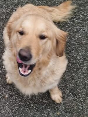 Freya Feb 24