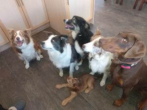 Our girls