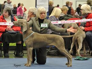 Boston 2013 winning DCC