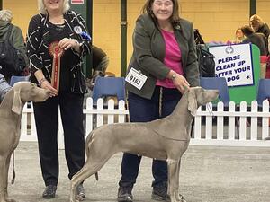 Enjager Harmony with Brownbank BCC