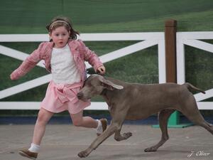 Georgia and Luke YKC stakes National Gundog