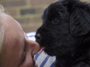 pup1