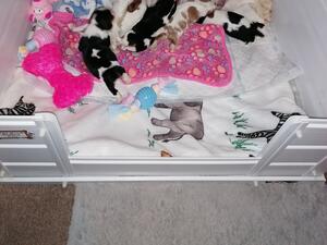 Lady with first litter