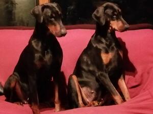 Freyja and Katy