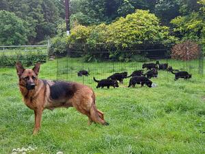 Beautiful Arya and her family