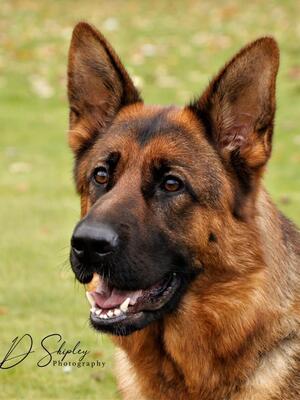 Arya -2 years Old
