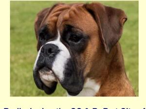 Sire - Lottalove for Norwillbeck Bellchime