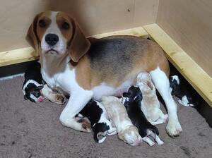 12hrs old