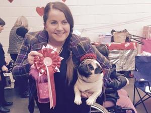 Elvis winning the toy group
