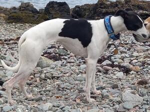Isle of Arran