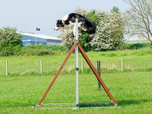 Greenhow Blaze at Reinsense 5.5ft scale