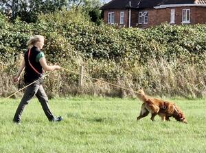 Roanlodge Charmaine tracking