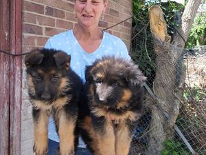 both boys