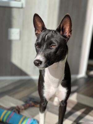 LUNA