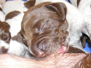 Just born