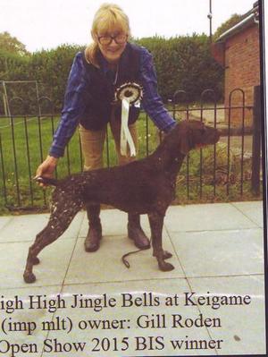 Bella winning BIS at GSPA