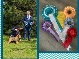 Livingston Show June 24 Best Special Puppy in Show