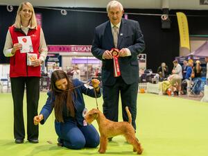 Group 1 Terrier Puppy City of Birmingham CH show