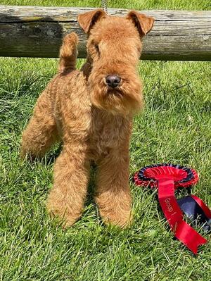 Group One Cambuslang Open Show (May 2022)