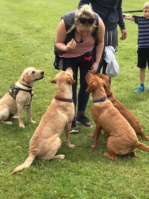 Litter meet up