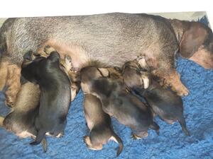 with mum