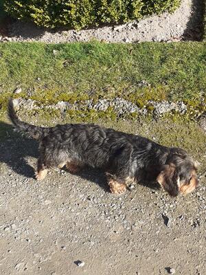OTTO RELAXING