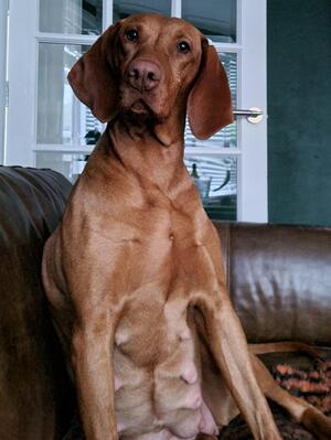 Maggie...Geltwood The Mona Lisa