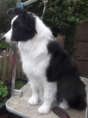 Grace 6 months