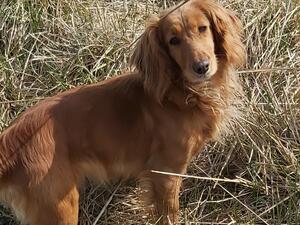 Maggie ❤