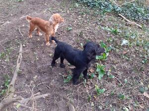 Purdey with her mum Teal
