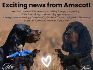 Exciting News!