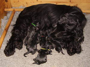 Newborns - well done Lydia