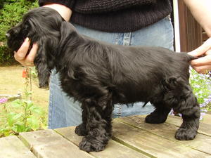 Vincent at three months