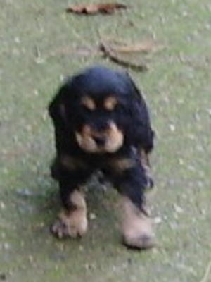 Our 'Beate'