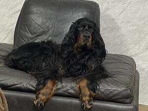 Our Aili