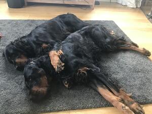Best friends Freyja and Magni