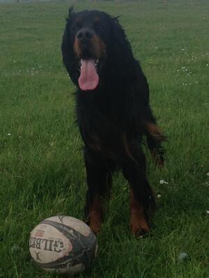 Geech and rugby