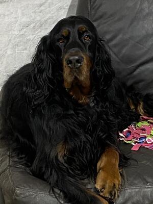Freyja