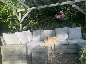 Relaxing in the garden