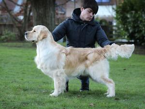 Loki (OLVINGLAY LOCKSMITH SGWC)