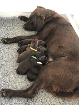 1 day old