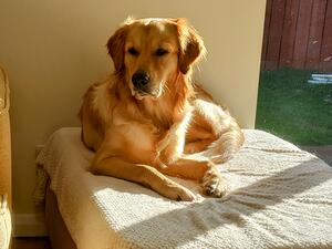 Kentwone Peaceful Soul