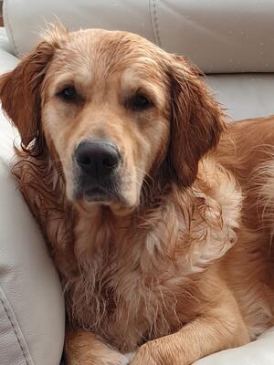 Kentwone Peaceful Soul