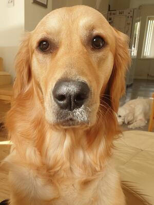 Hannah at 1 year old