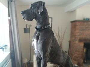 Beautiful Nova