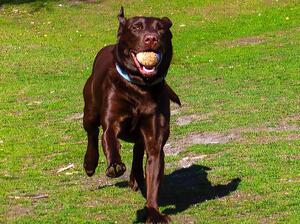 Wispa loving life