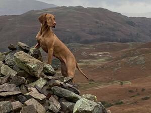 Izzy (Mum)