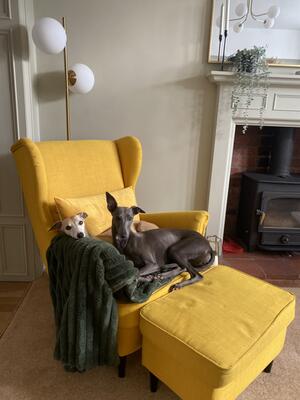 Margot & Lyla